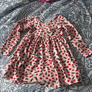 Holly Berry Print Long Sleeve Hanna Andersson Dress
